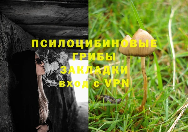 PSILOCYBIN Алексин